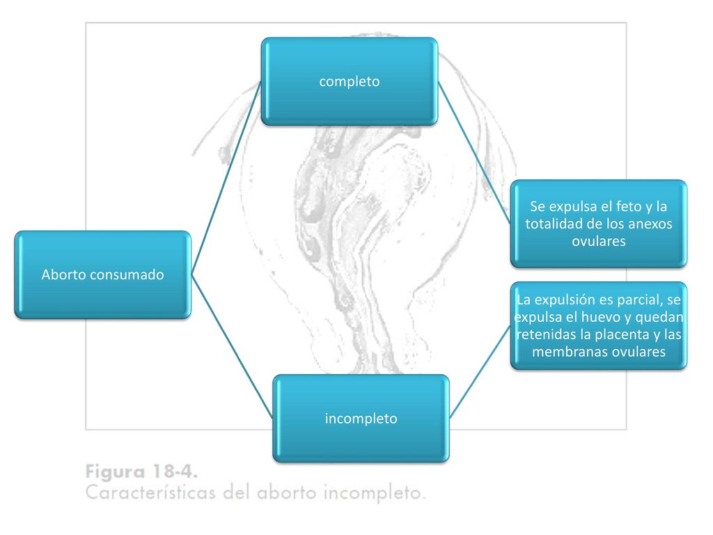 Se expulsa el feto y la totalidad de los anexos ovulares
