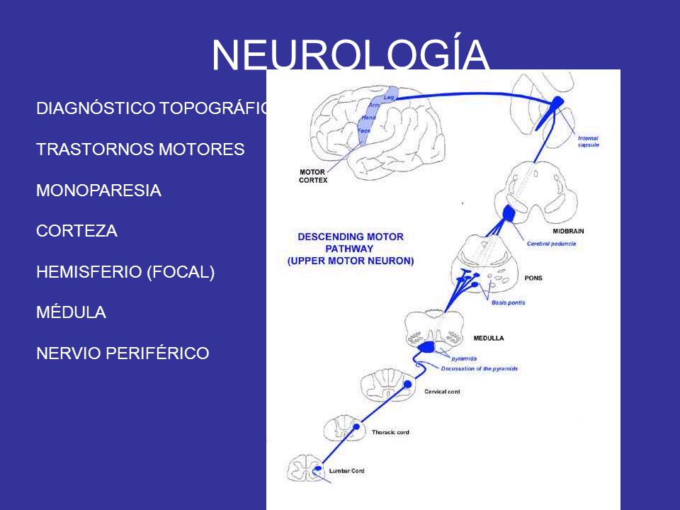 NEUROLOGÍA DIAGNÓSTICO TOPOGRÁFICO TRASTORNOS MOTORES MONOPARESIA