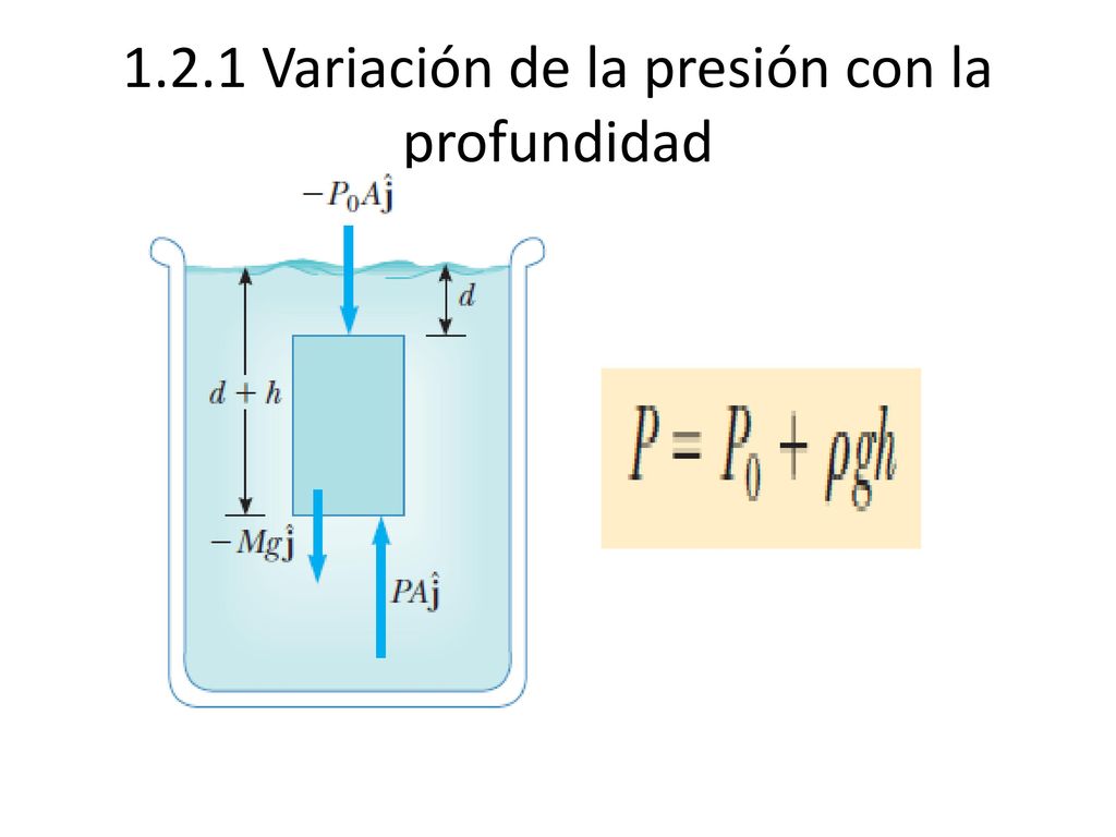 Variacion de presion con la profundidad