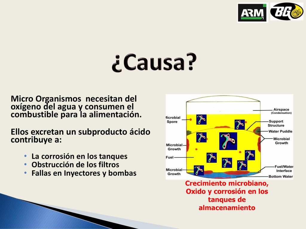 ¿Causa Micro Organismos necesitan del oxígeno del agua y consumen el combustible para la alimentación.