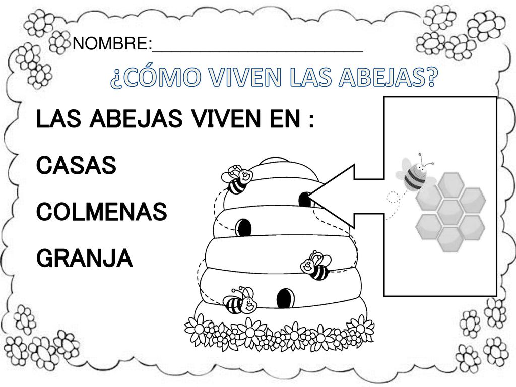 ¿CÓMO VIVEN LAS ABEJAS LAS ABEJAS VIVEN EN : CASAS COLMENAS GRANJA