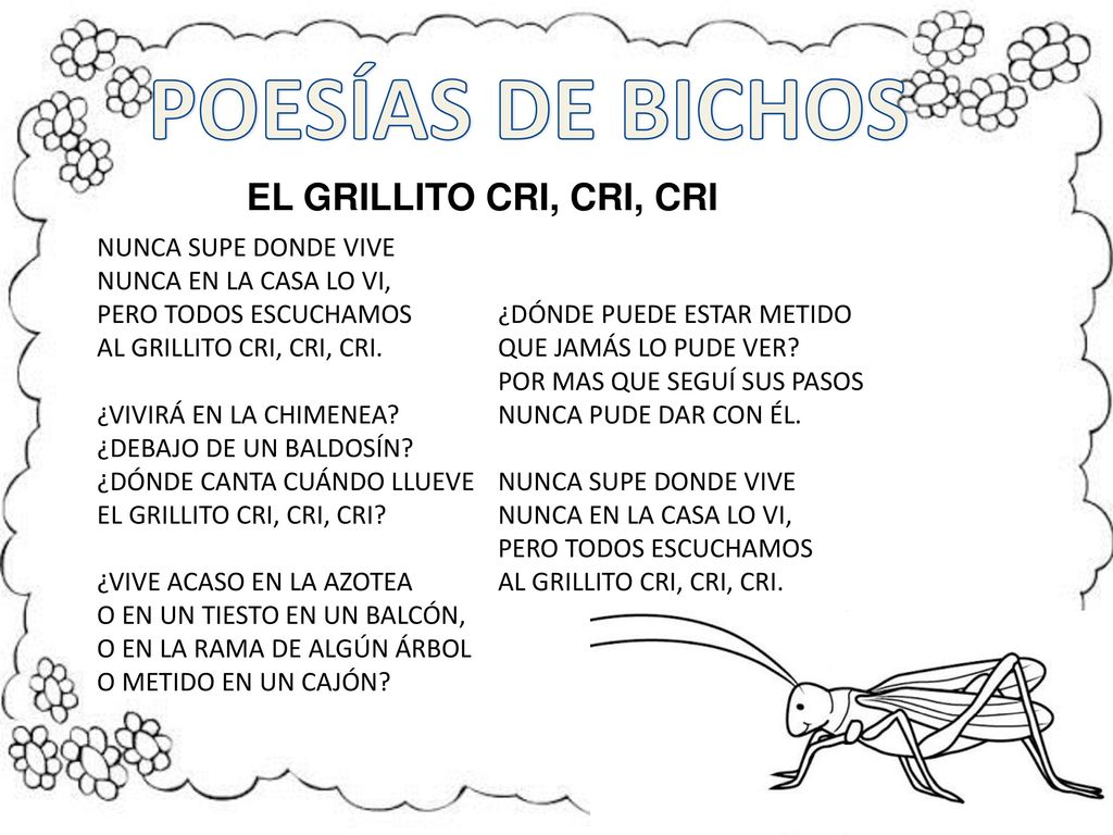 POESÍAS DE BICHOS EL GRILLITO CRI, CRI, CRI NUNCA SUPE DONDE VIVE