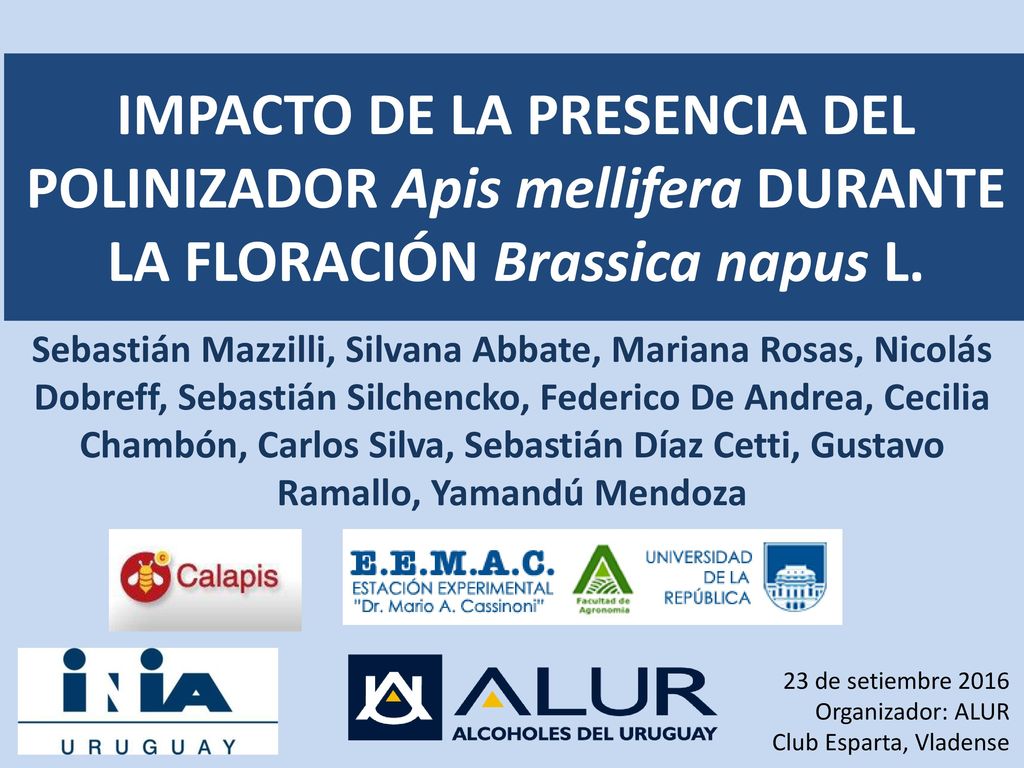 IMPACTO DE LA PRESENCIA DEL POLINIZADOR Apis mellifera DURANTE LA FLORACIÓN Brassica napus L.