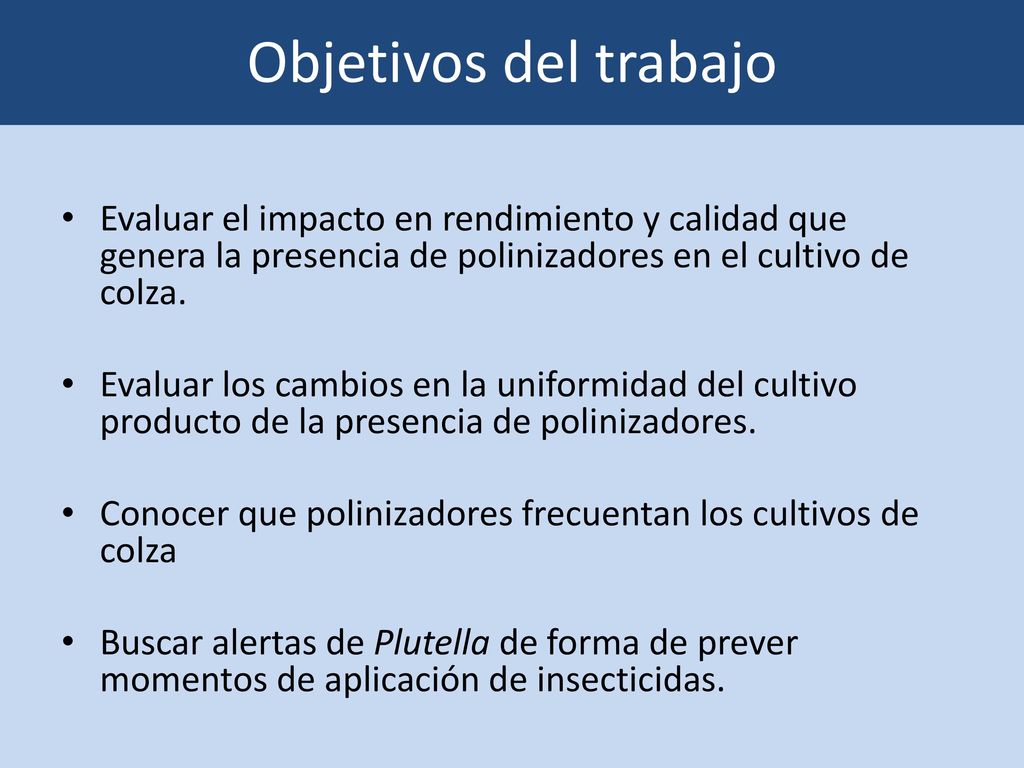 Objetivos del trabajo Evaluar el impacto en rendimiento y calidad que genera la presencia de polinizadores en el cultivo de colza.