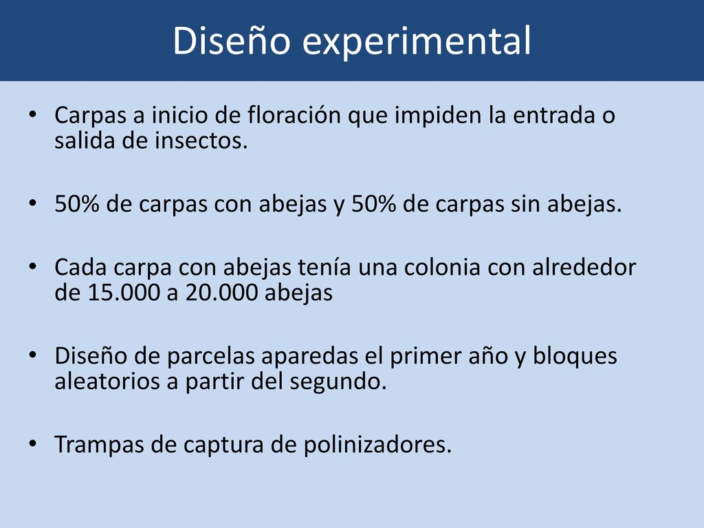 Diseño experimental Carpas a inicio de floración que impiden la entrada o salida de insectos. 50% de carpas con abejas y 50% de carpas sin abejas.