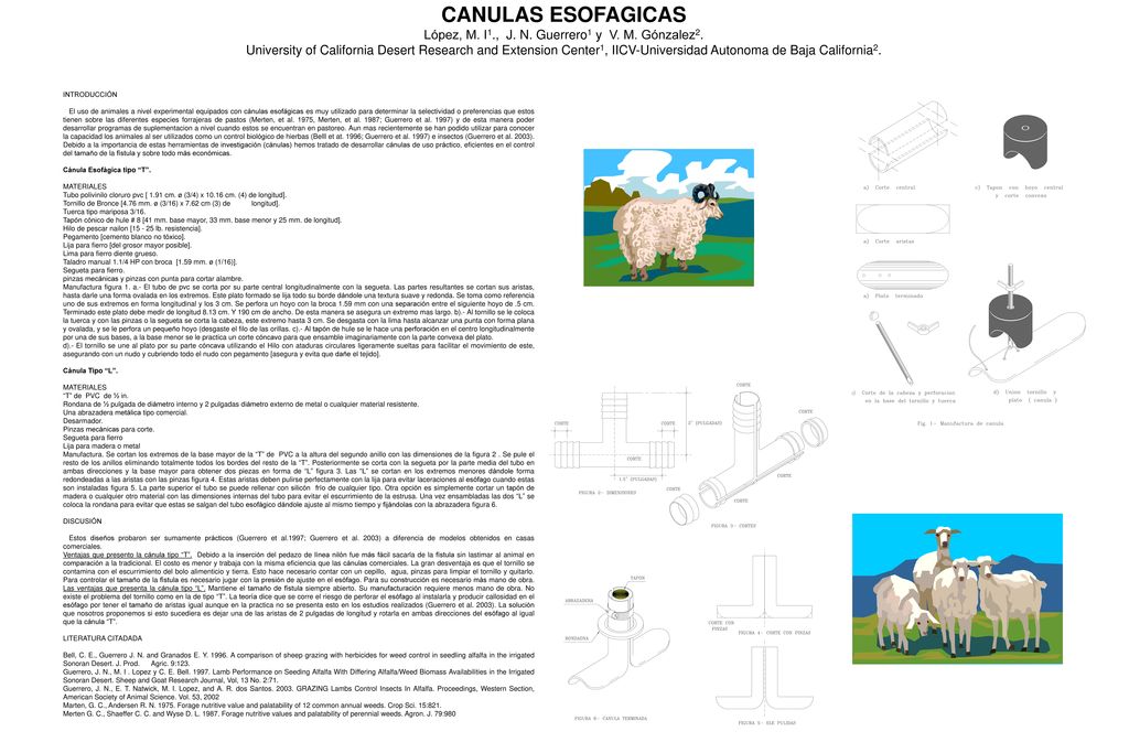 CANULAS ESOFAGICAS López, M. I1. , J. N. Guerrero1 y V. M. Gónzalez2