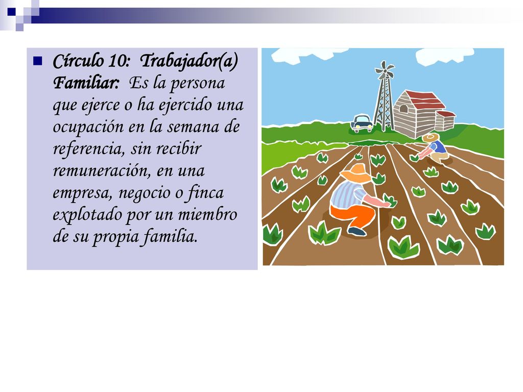 Círculo 10: Trabajador(a) Familiar: Es la persona que ejerce o ha ejercido una ocupación en la semana de referencia, sin recibir remuneración, en una empresa, negocio o finca explotado por un miembro de su propia familia.
