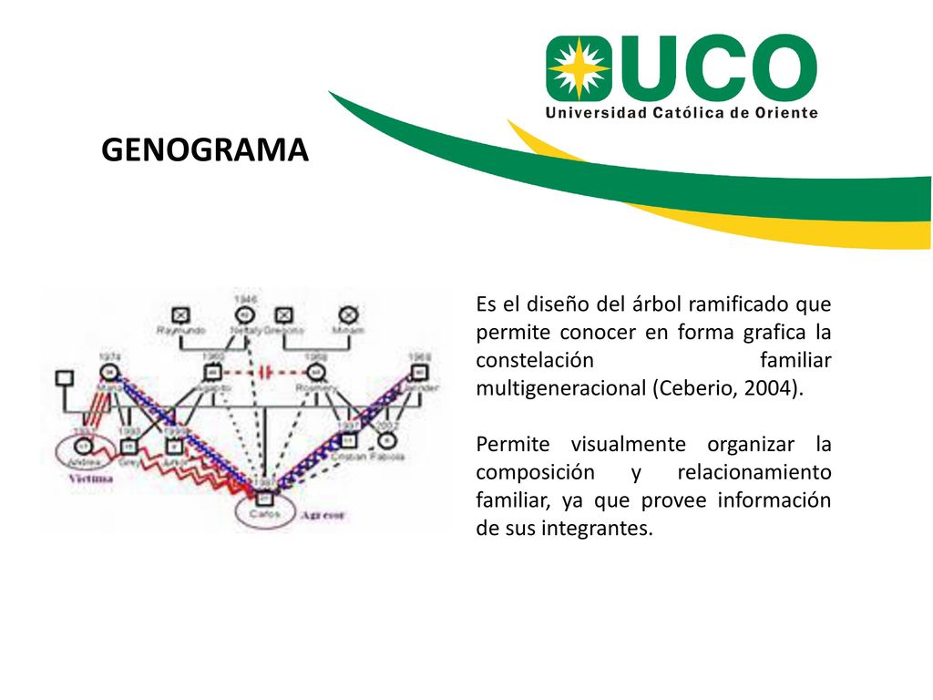 GENOGRAMA Es el diseño del árbol ramificado que permite conocer en forma grafica la constelación familiar multigeneracional (Ceberio, 2004).