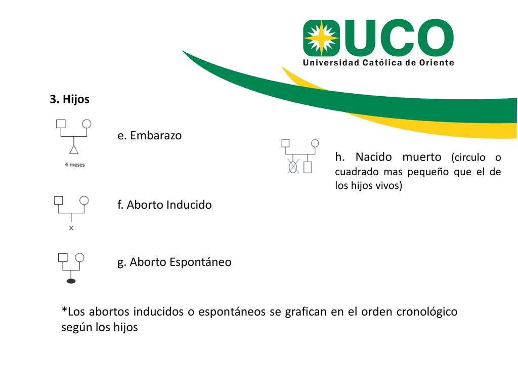 3. Hijos e. Embarazo. h. Nacido muerto (circulo o cuadrado mas pequeño que el de los hijos vivos) f. Aborto Inducido.
