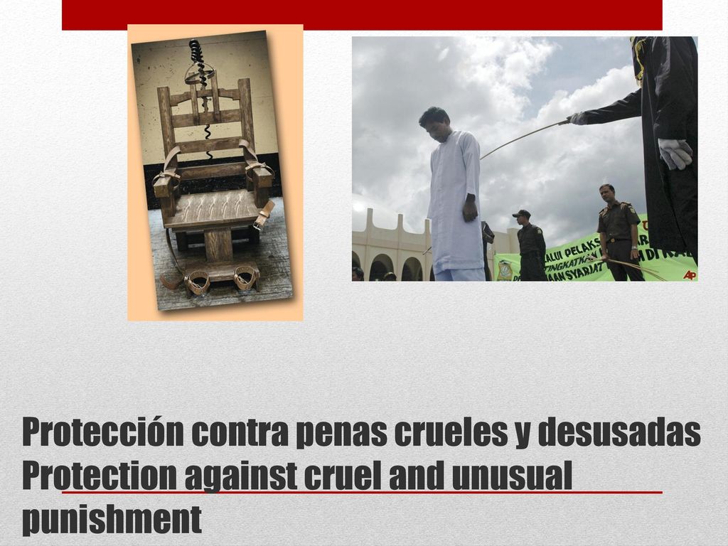 Protección contra penas crueles y desusadas Protection against cruel and unusual punishment