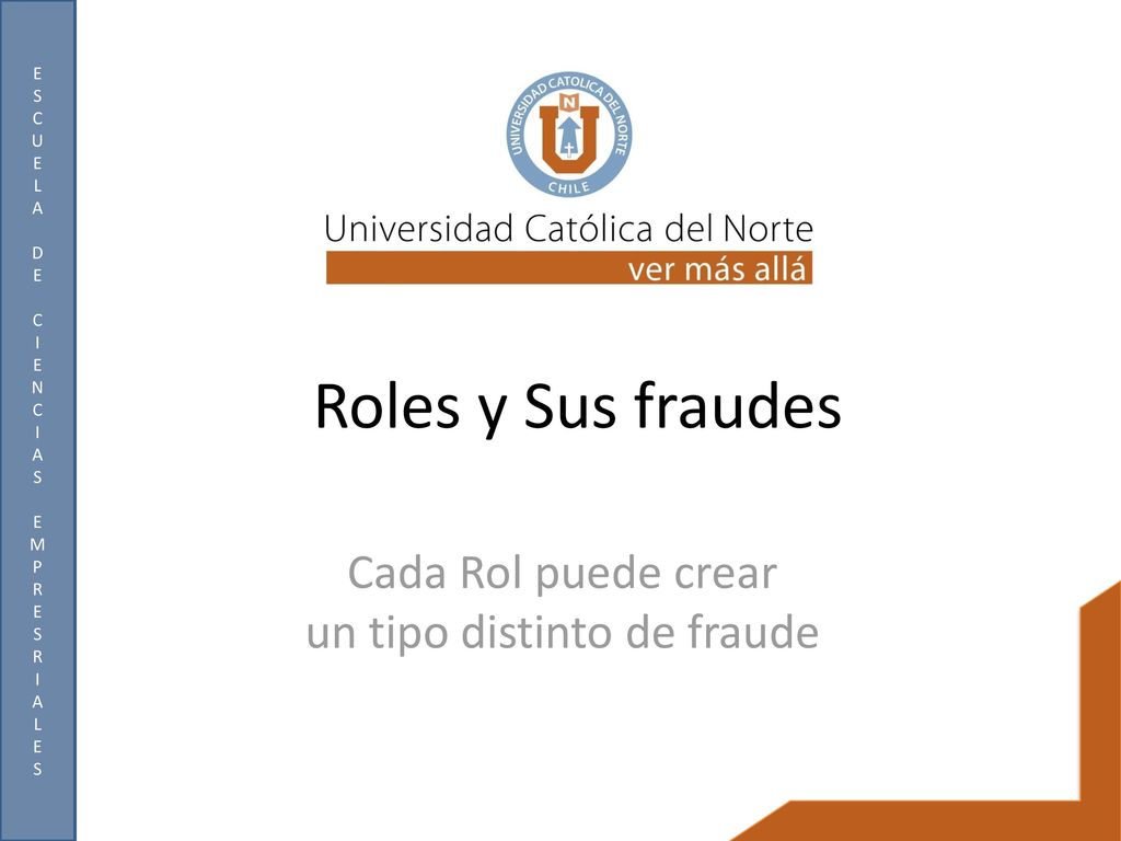Cada Rol puede crear un tipo distinto de fraude