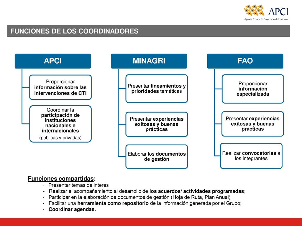 APCI MINAGRI FAO Funciones de los coordinadores Funciones compartidas: