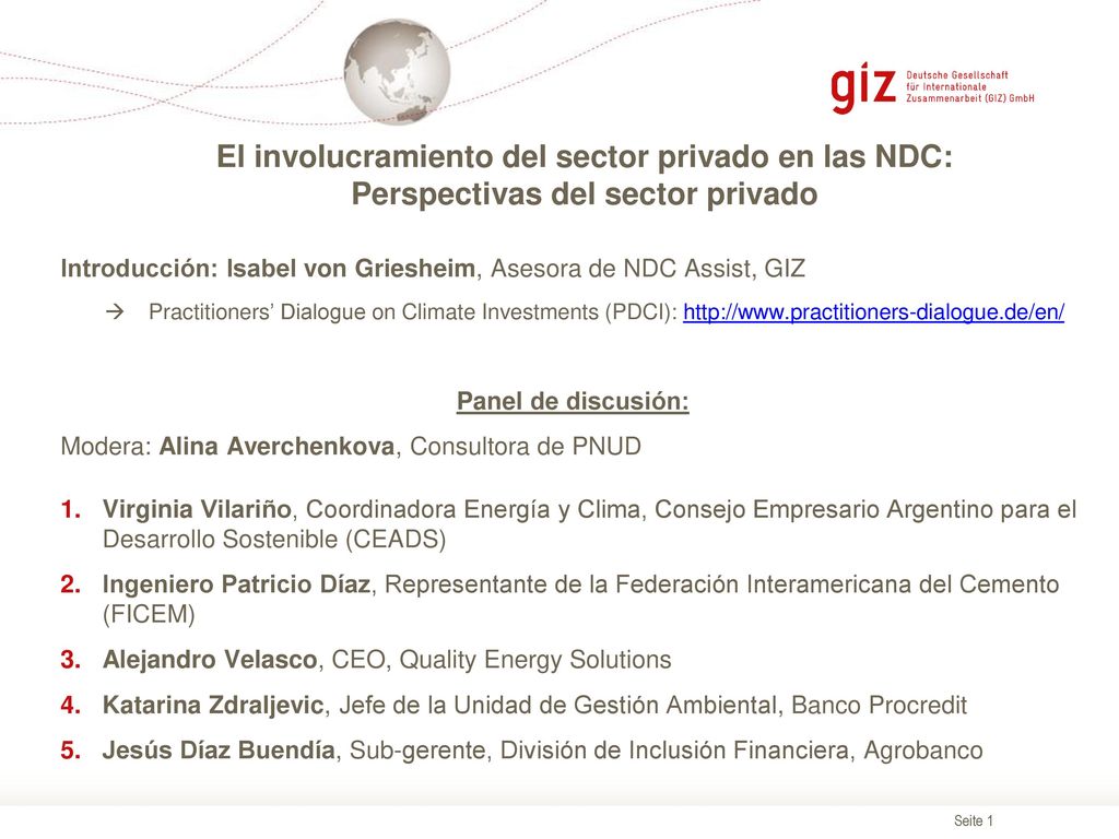 El involucramiento del sector privado en las NDC: Perspectivas del sector privado