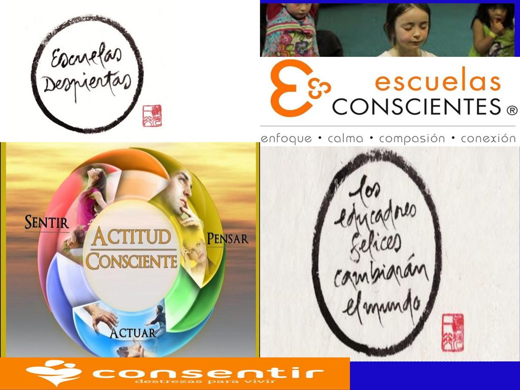 Los profesores enseñan lo que saben, pero mayormente se enseñan a sí mismos.