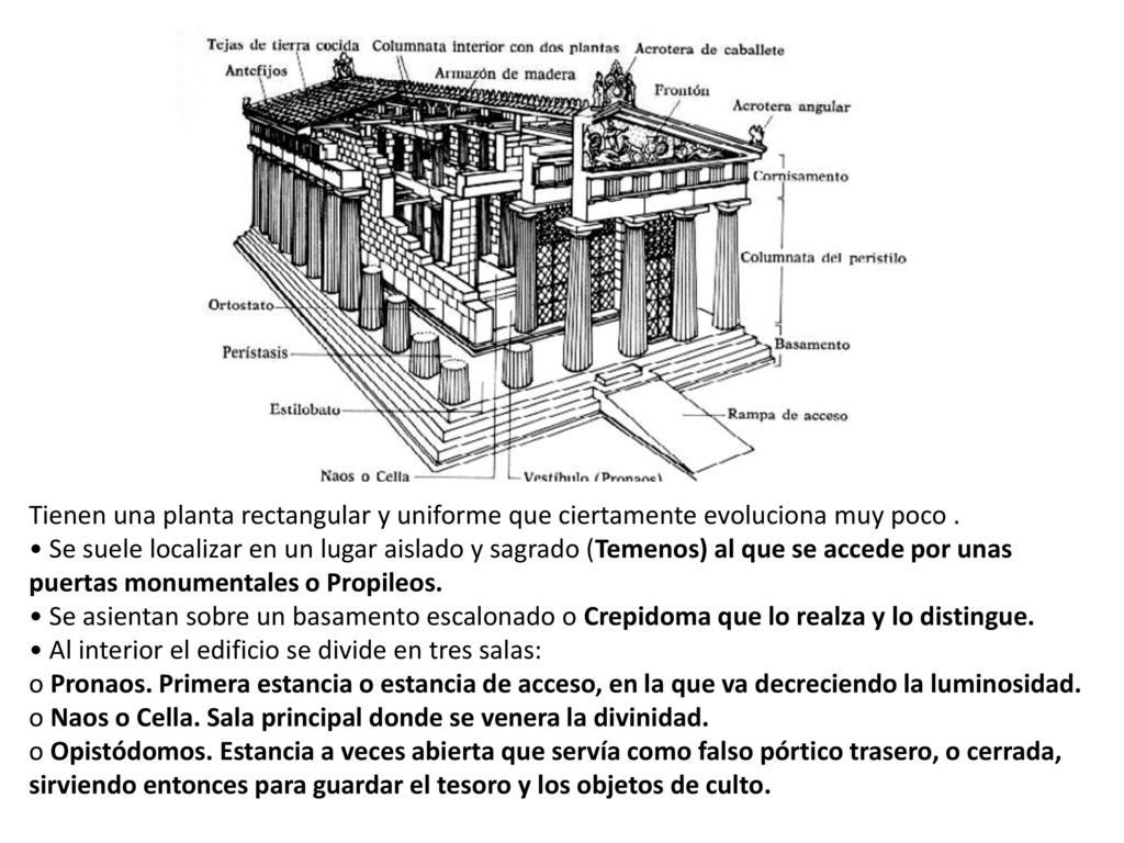 Tienen una planta rectangular y uniforme que ciertamente evoluciona muy poco .