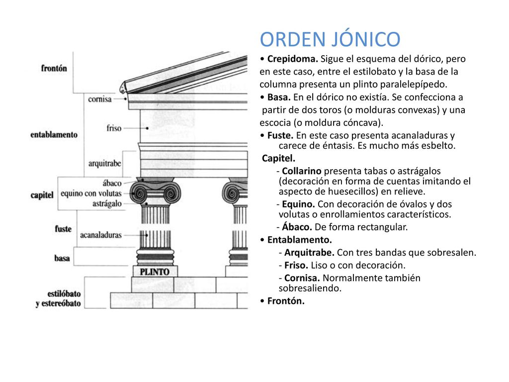ORDEN JÓNICO • Crepidoma. Sigue el esquema del dórico, pero