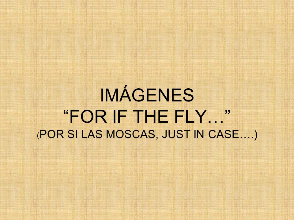 IMÁGENES FOR IF THE FLY… (POR SI LAS MOSCAS, JUST IN CASE….)