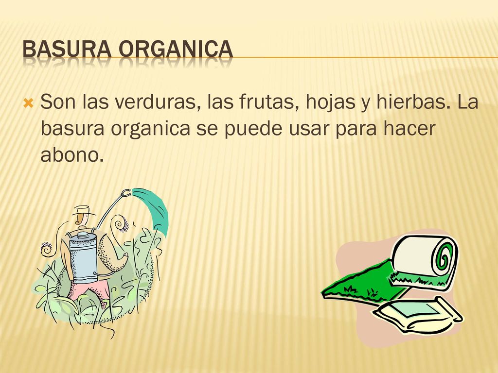 Basura organica Son las verduras, las frutas, hojas y hierbas.