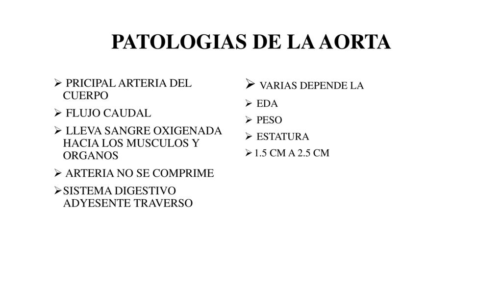 PATOLOGIAS DE LA AORTA VARIAS DEPENDE LA PRICIPAL ARTERIA DEL CUERPO