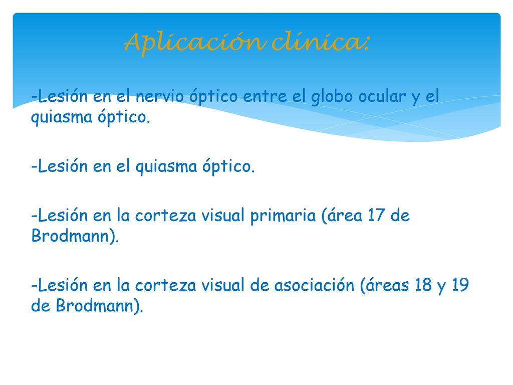 Aplicación clínica: -Lesión en el nervio óptico entre el globo ocular y el quiasma óptico. -Lesión en el quiasma óptico.