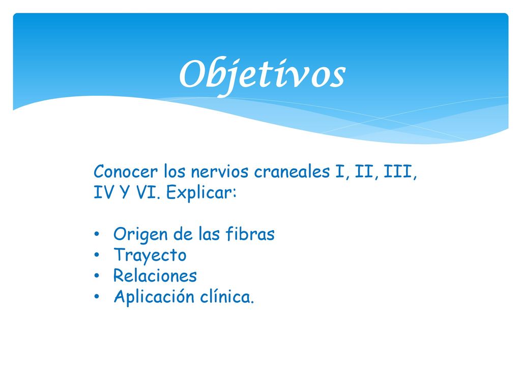 Objetivos Conocer los nervios craneales I, II, III, IV Y VI. Explicar:
