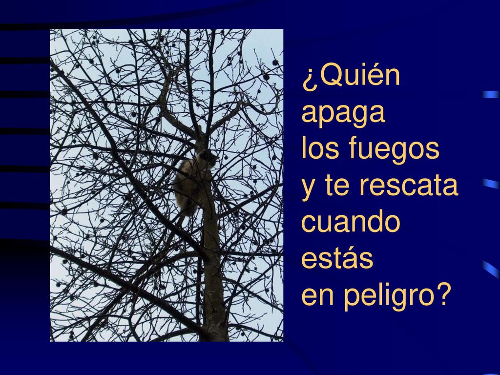 ¿Quién apaga los fuegos y te rescata cuando estás en peligro