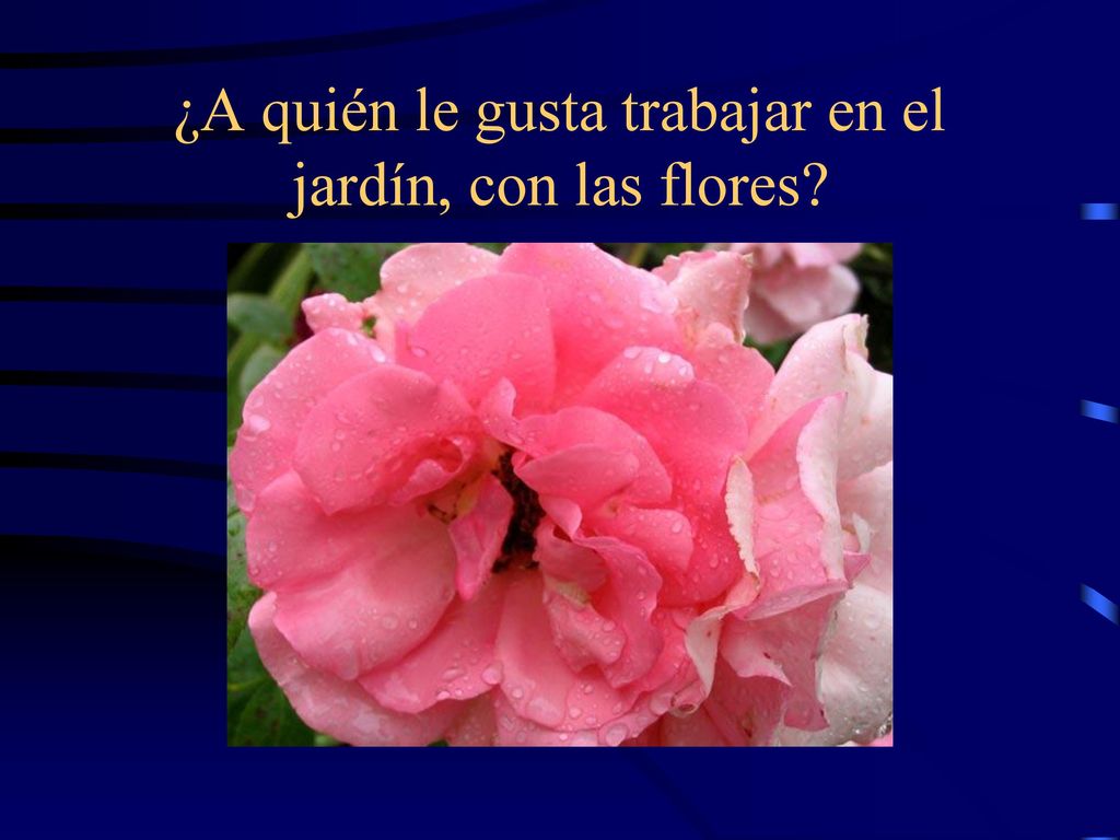¿A quién le gusta trabajar en el jardín, con las flores