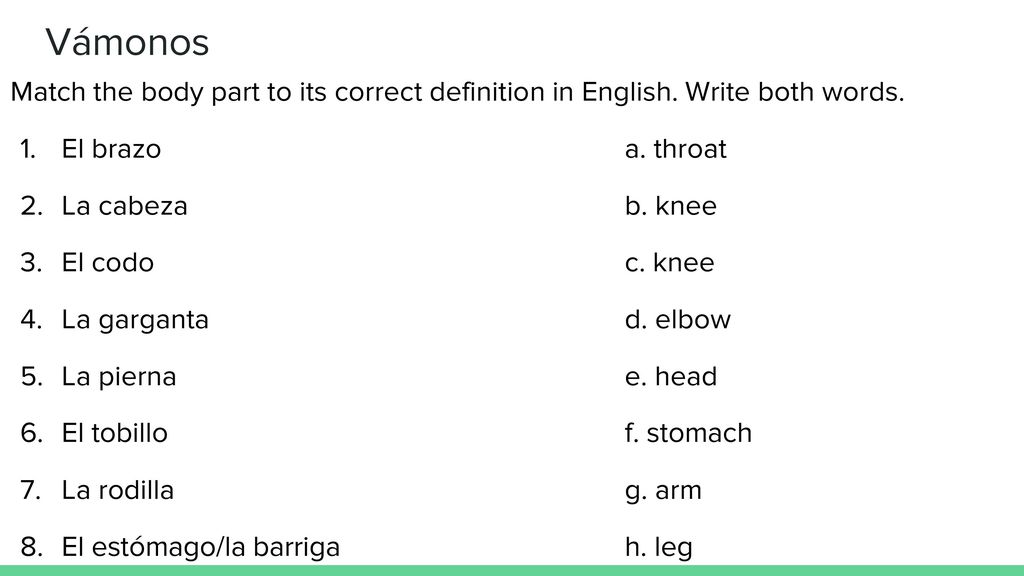 Vámonos Match the body part to its correct definition in English. Write both words. El brazo a. throat.