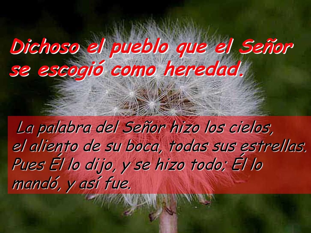 Dichoso el pueblo que el Señor se escogió como heredad.