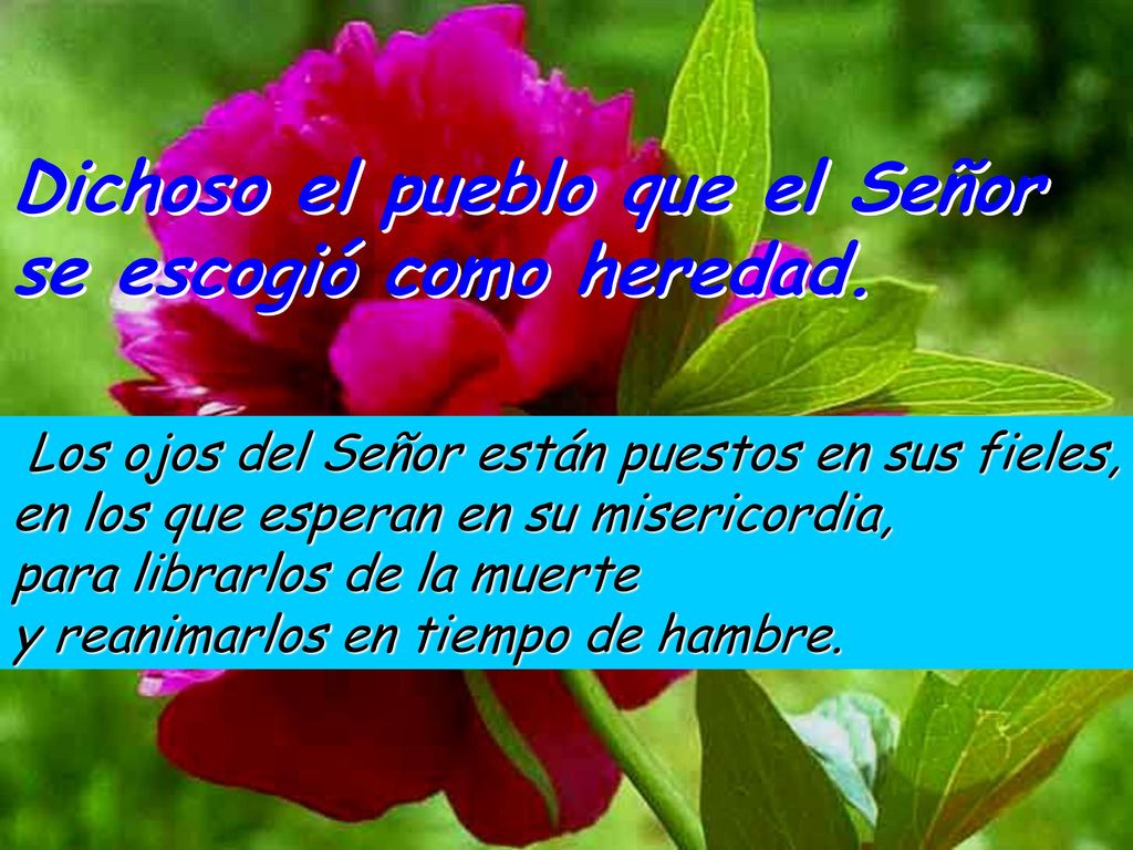 Dichoso el pueblo que el Señor se escogió como heredad.