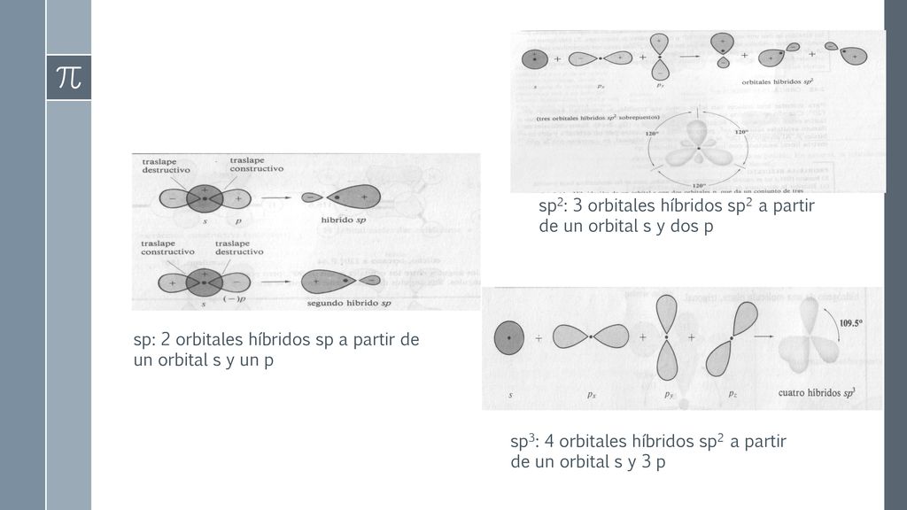 sp2: 3 orbitales híbridos sp2 a partir de un orbital s y dos p