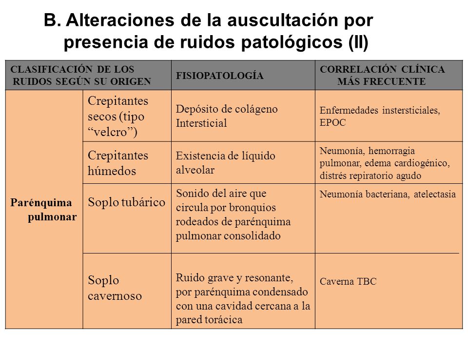 B. Alteraciones de la auscultación por presencia de ruidos patológicos (II)