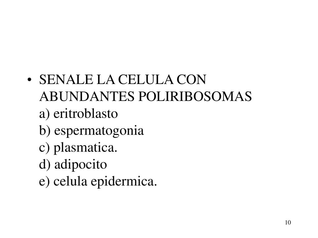 SENALE LA CELULA CON ABUNDANTES POLIRIBOSOMAS a) eritroblasto b) espermatogonia c) plasmatica.