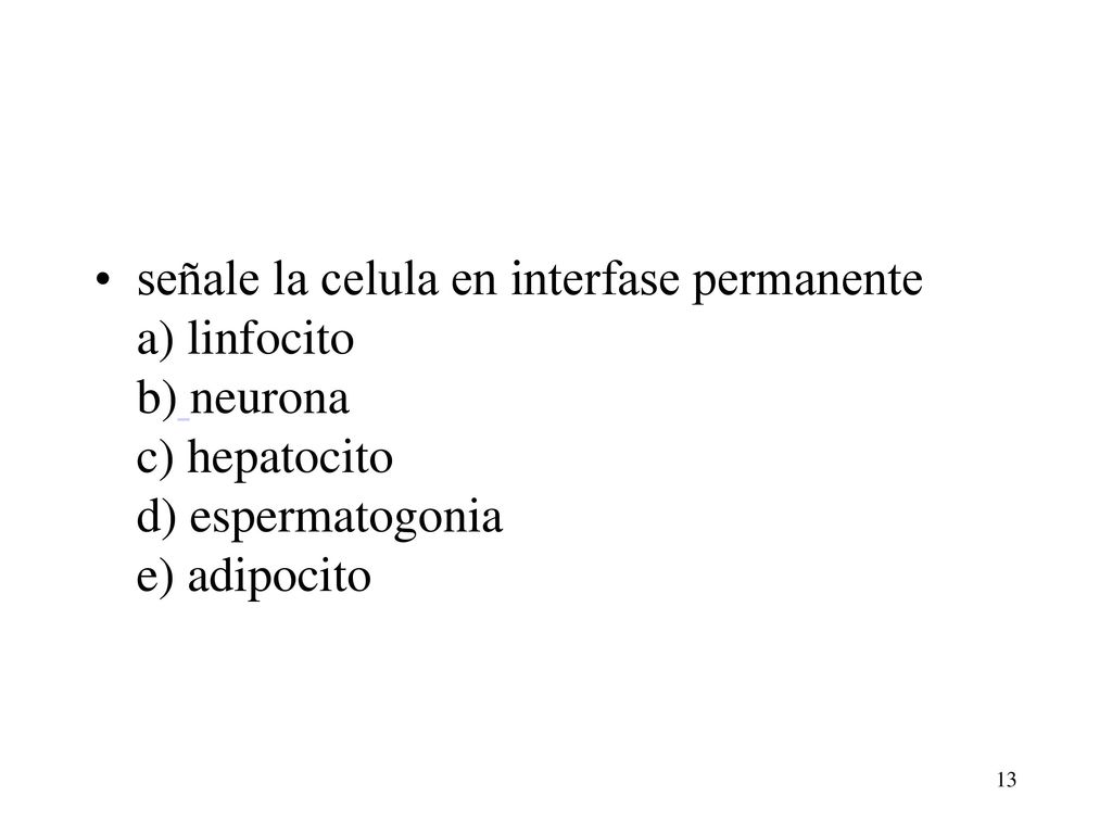 señale la celula en interfase permanente a) linfocito b) neurona c) hepatocito d) espermatogonia e) adipocito