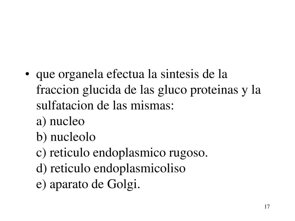 que organela efectua la sintesis de la fraccion glucida de las gluco proteinas y la sulfatacion de las mismas: a) nucleo b) nucleolo c) reticulo endoplasmico rugoso.