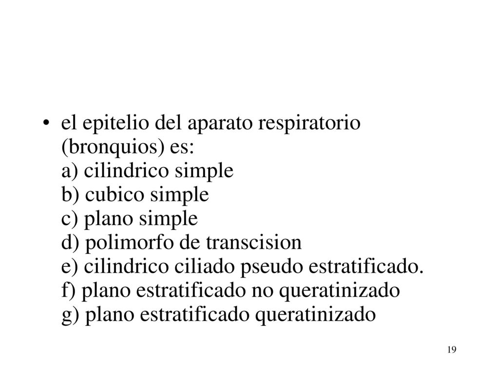 el epitelio del aparato respiratorio (bronquios) es: a) cilindrico simple b) cubico simple c) plano simple d) polimorfo de transcision e) cilindrico ciliado pseudo estratificado.