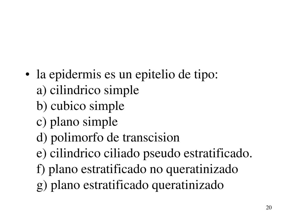 la epidermis es un epitelio de tipo: a) cilindrico simple b) cubico simple c) plano simple d) polimorfo de transcision e) cilindrico ciliado pseudo estratificado.