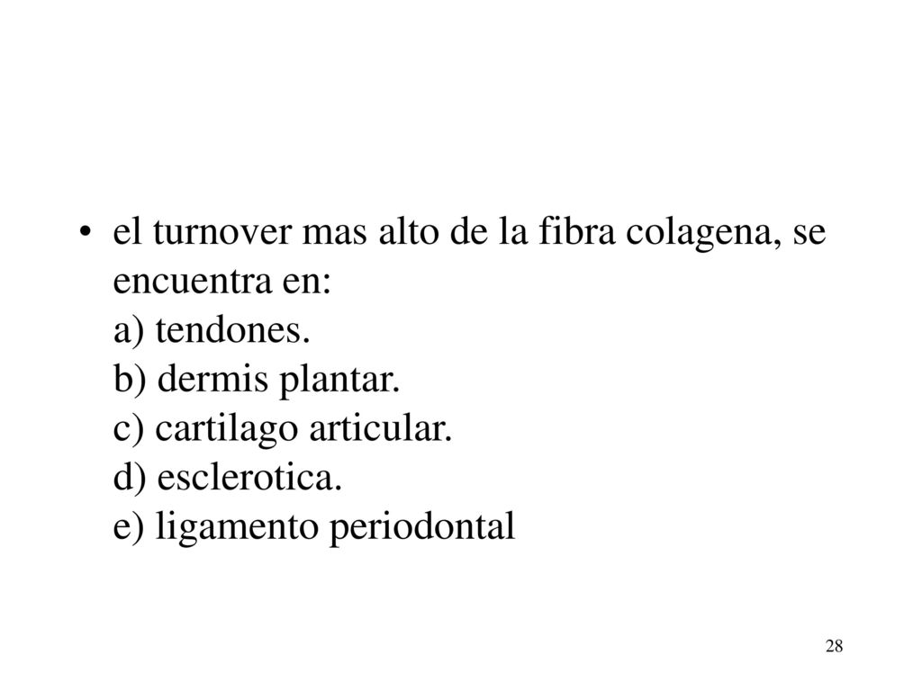 el turnover mas alto de la fibra colagena, se encuentra en: a) tendones.