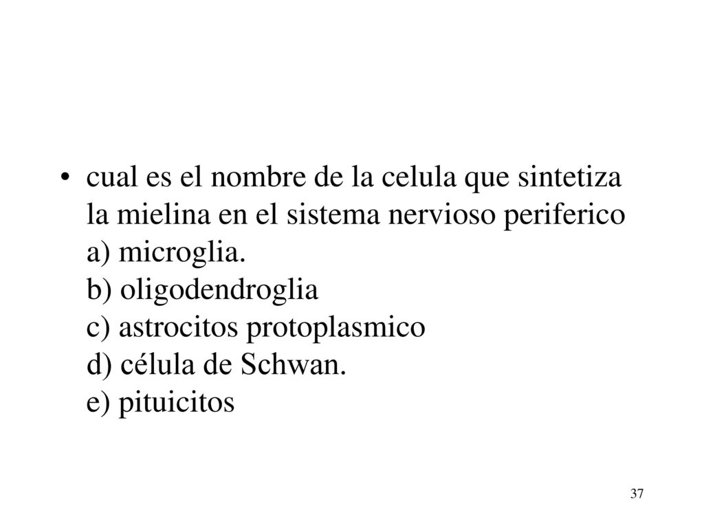 cual es el nombre de la celula que sintetiza la mielina en el sistema nervioso periferico a) microglia.