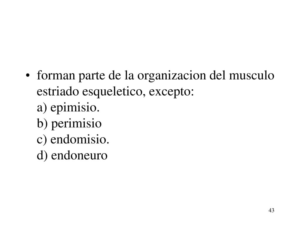 forman parte de la organizacion del musculo estriado esqueletico, excepto: a) epimisio. b) perimisio c) endomisio. d) endoneuro