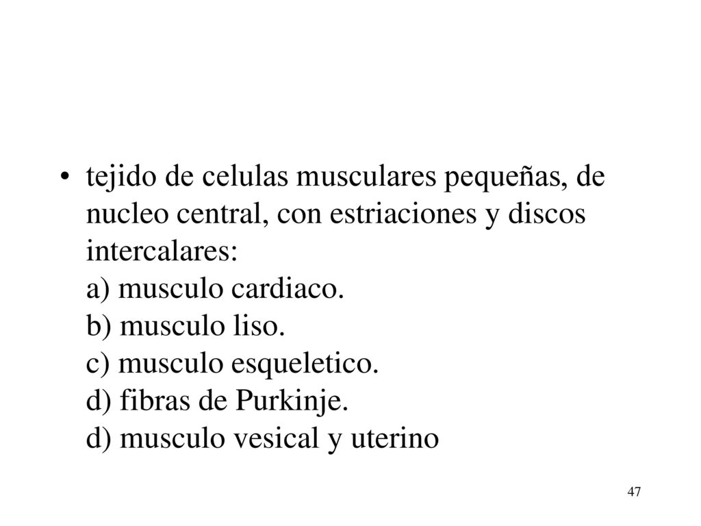 tejido de celulas musculares pequeñas, de nucleo central, con estriaciones y discos intercalares: a) musculo cardiaco.