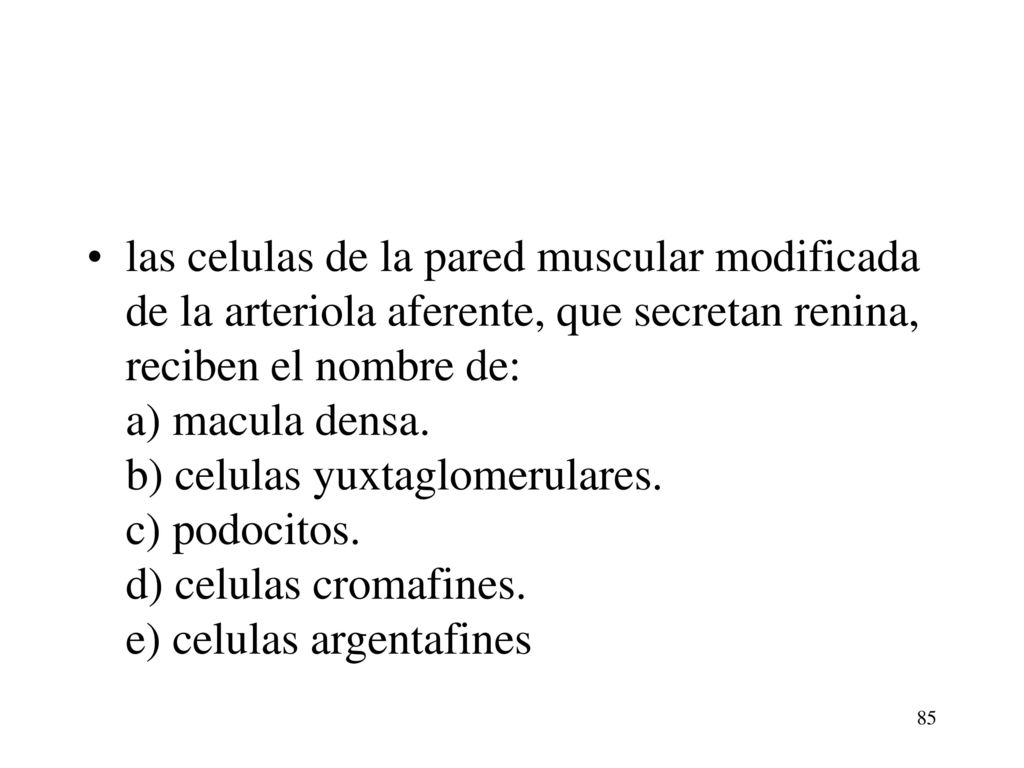 las celulas de la pared muscular modificada de la arteriola aferente, que secretan renina, reciben el nombre de: a) macula densa.