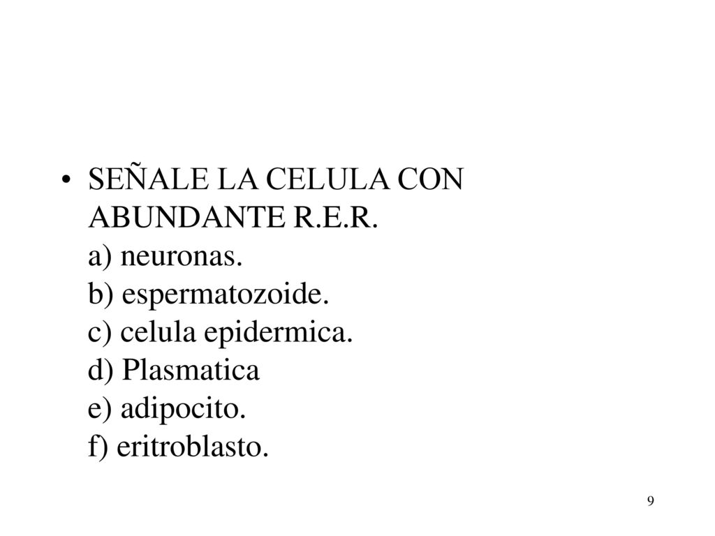 SEÑALE LA CELULA CON ABUNDANTE R. E. R. a) neuronas. b) espermatozoide