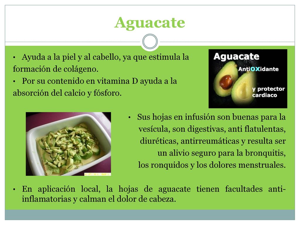 Aguacate Ayuda a la piel y al cabello, ya que estimula la