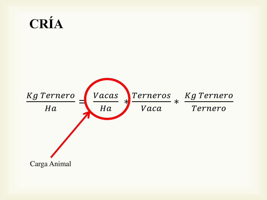 CRÍA 𝐾𝑔 𝑇𝑒𝑟𝑛𝑒𝑟𝑜 𝐻𝑎 = 𝑉𝑎𝑐𝑎𝑠 𝐻𝑎 ∗ 𝑇𝑒𝑟𝑛𝑒𝑟𝑜𝑠 𝑉𝑎𝑐𝑎 ∗ 𝐾𝑔 𝑇𝑒𝑟𝑛𝑒𝑟𝑜 𝑇𝑒𝑟𝑛𝑒𝑟𝑜