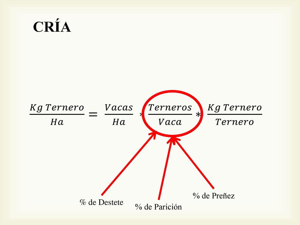 CRÍA 𝐾𝑔 𝑇𝑒𝑟𝑛𝑒𝑟𝑜 𝐻𝑎 = 𝑉𝑎𝑐𝑎𝑠 𝐻𝑎 ∗ 𝑇𝑒𝑟𝑛𝑒𝑟𝑜𝑠 𝑉𝑎𝑐𝑎 ∗ 𝐾𝑔 𝑇𝑒𝑟𝑛𝑒𝑟𝑜 𝑇𝑒𝑟𝑛𝑒𝑟𝑜