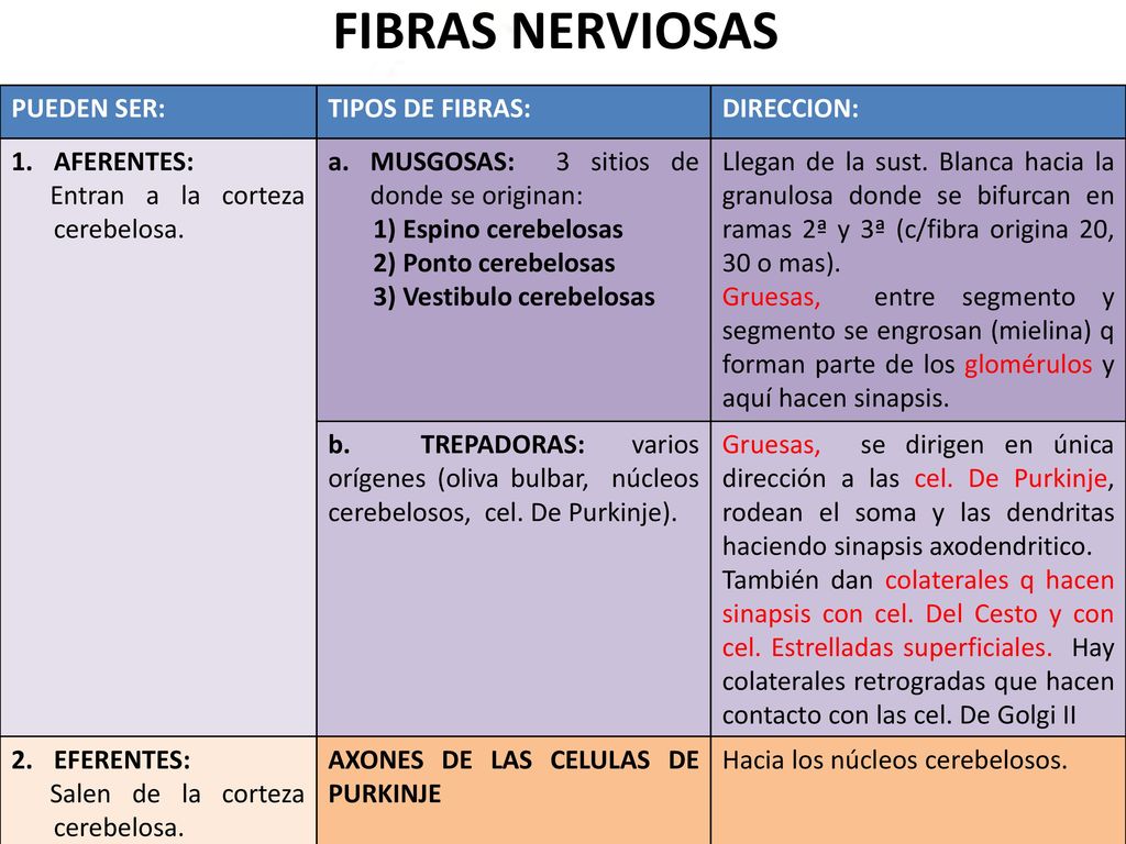 FIBRAS NERVIOSAS PUEDEN SER: TIPOS DE FIBRAS: DIRECCION: AFERENTES: