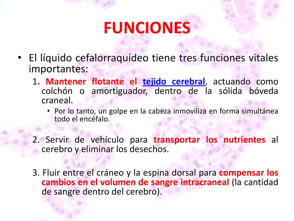 FUNCIONES El líquido cefalorraquídeo tiene tres funciones vitales importantes: