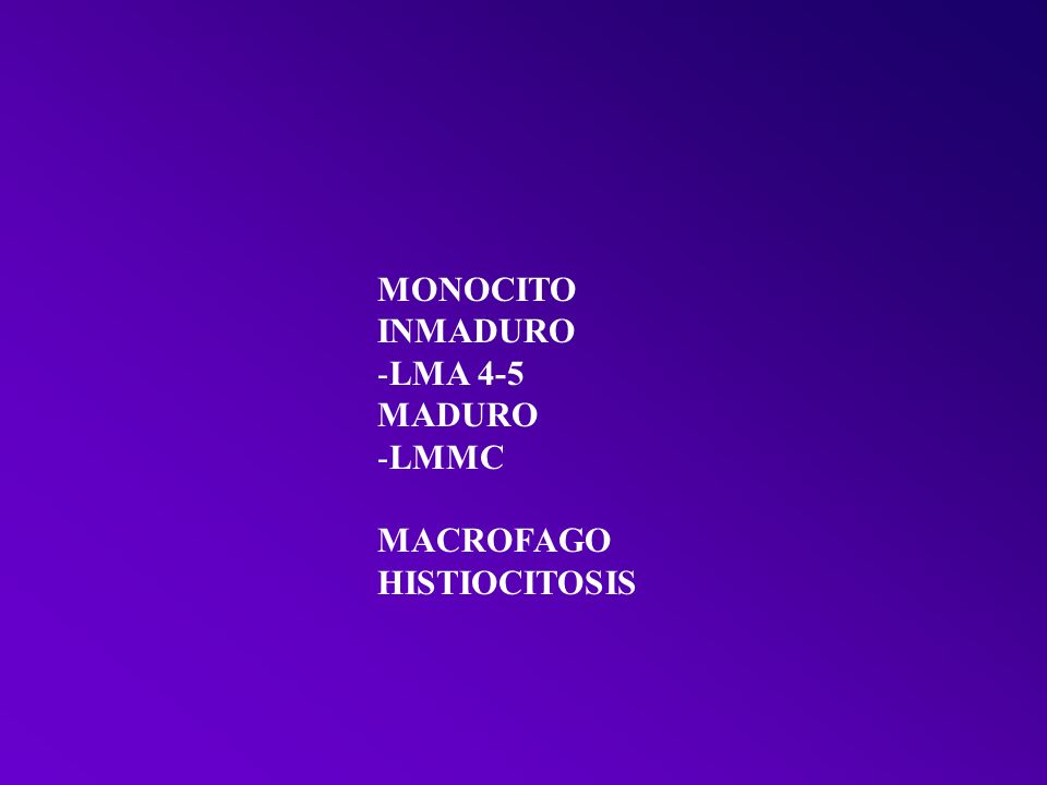 MONOCITO INMADURO LMA 4-5 MADURO LMMC MACROFAGO HISTIOCITOSIS