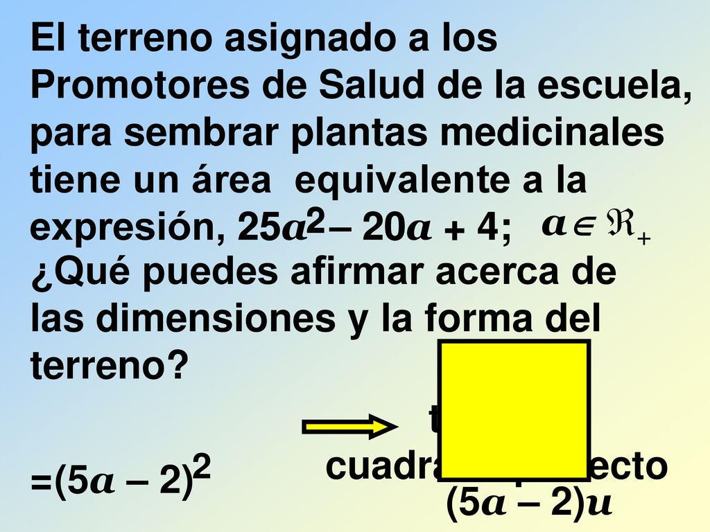 ¿Qué puedes afirmar acerca de las dimensiones y la forma del terreno